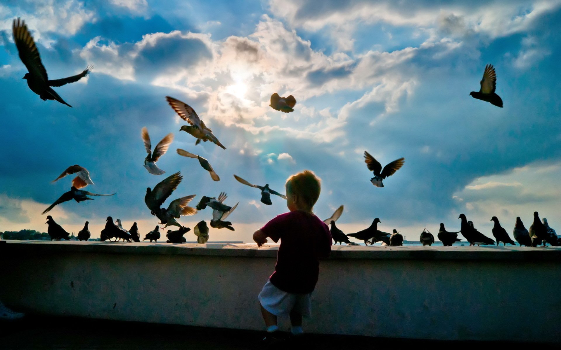 A child stands at a wall, gazing in awe as birds take flight against a backdrop of clouds and sunlight, capturing a moment of wonder in photography.