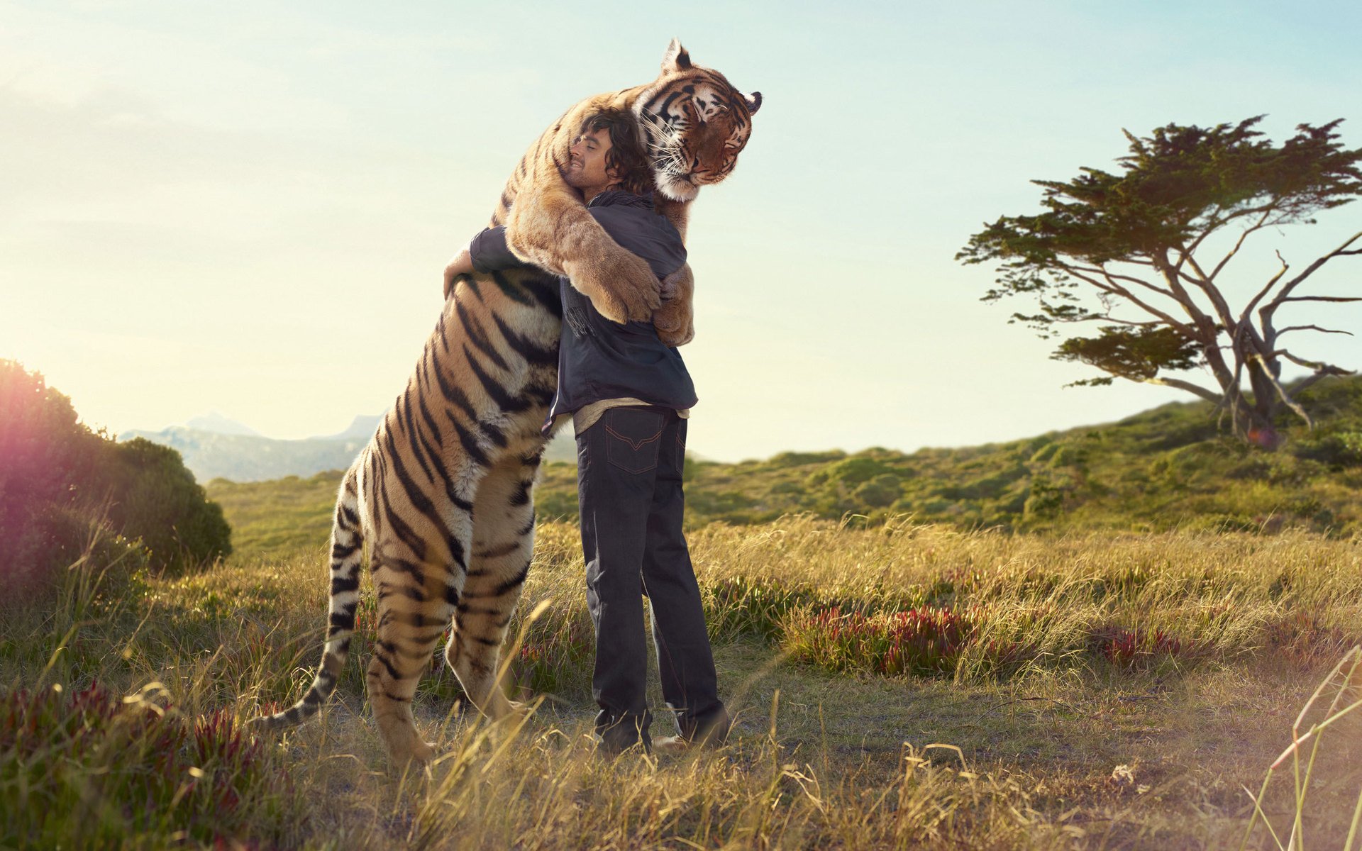 Tiger Hug Image - ID: 266647 - Image Abyss