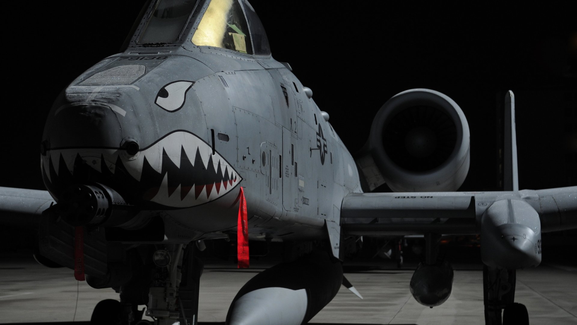 Fairchild Republic A-10 Thunderbolt II Picture - Image Abyss