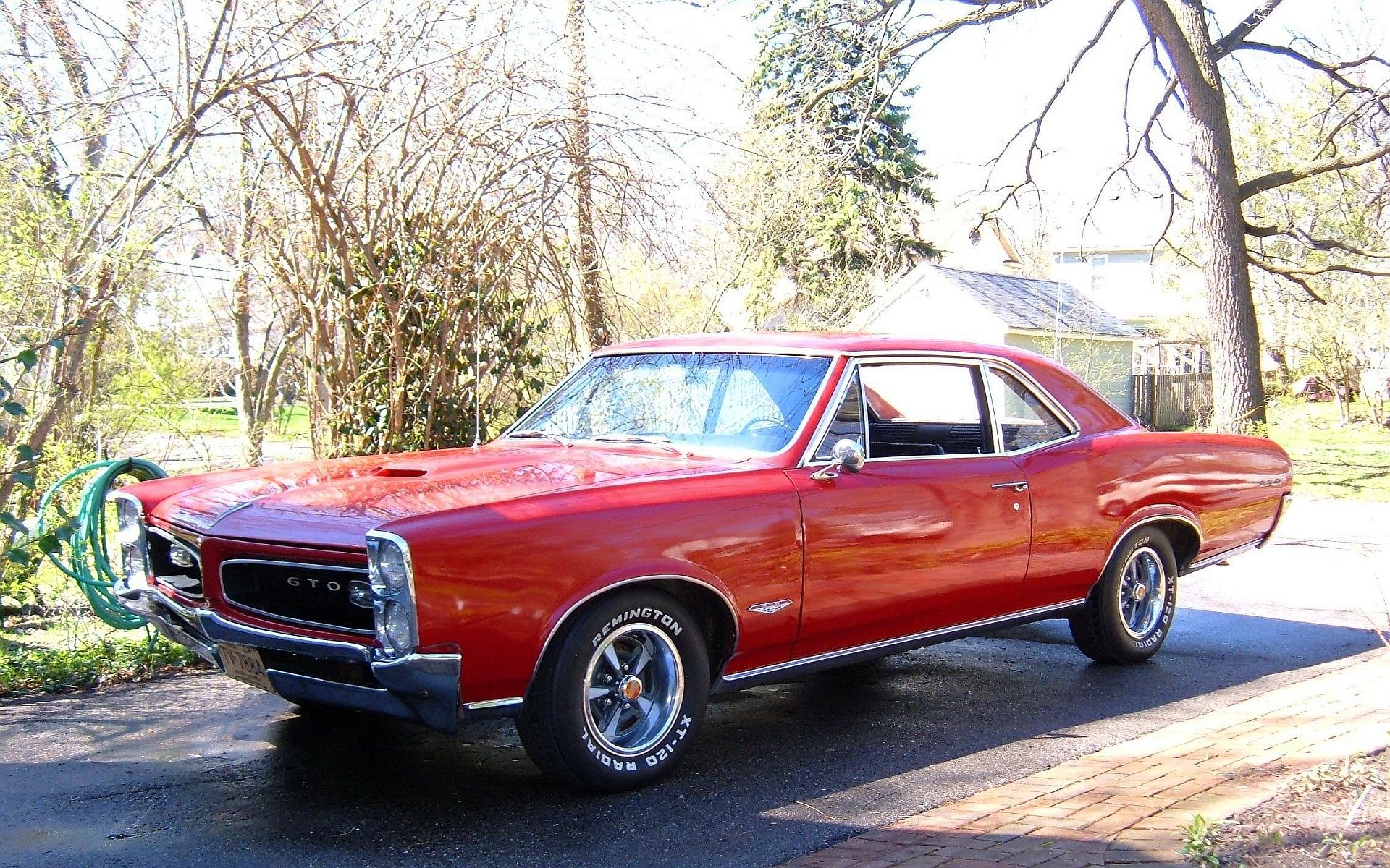 vehicle Pontiac GTO Image