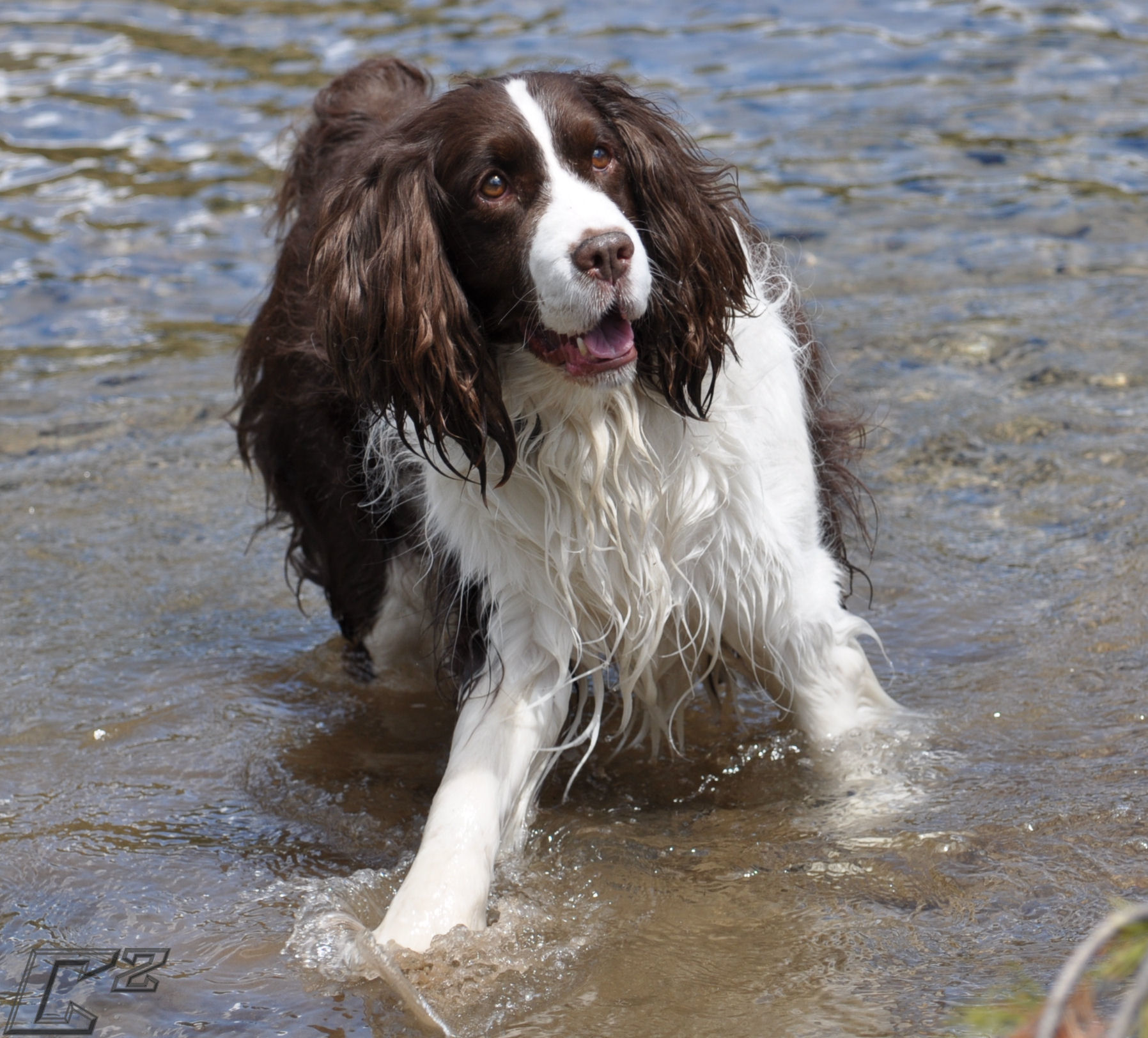Waterboy by C5qu4r3d