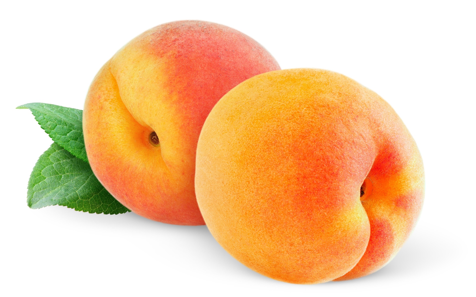 Peach Picture