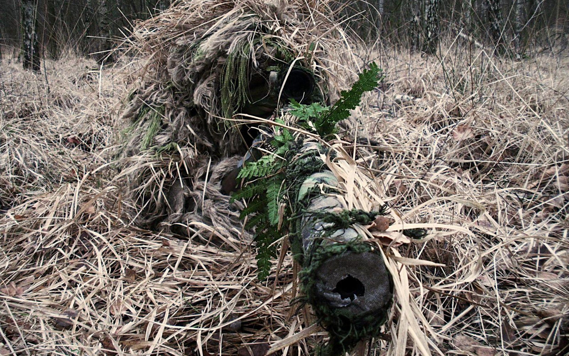 A military sniper camouflaged in a natural setting, blending into the surrounding grasses and foliage while aiming through a well-disguised rifle.
