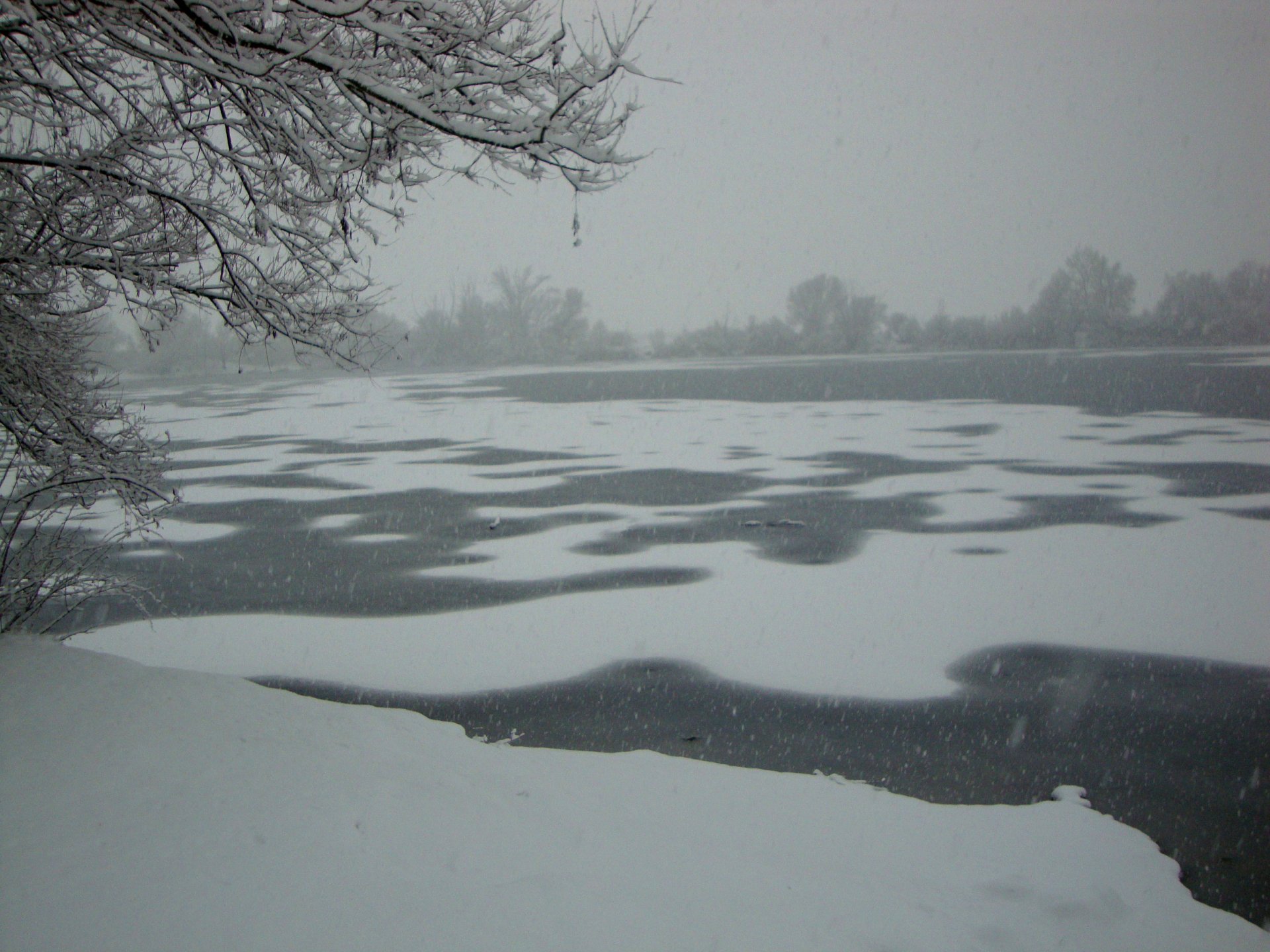 Snow-covered trees and a partially frozen river create a serene winter nature scene under a gray, overcast sky.
