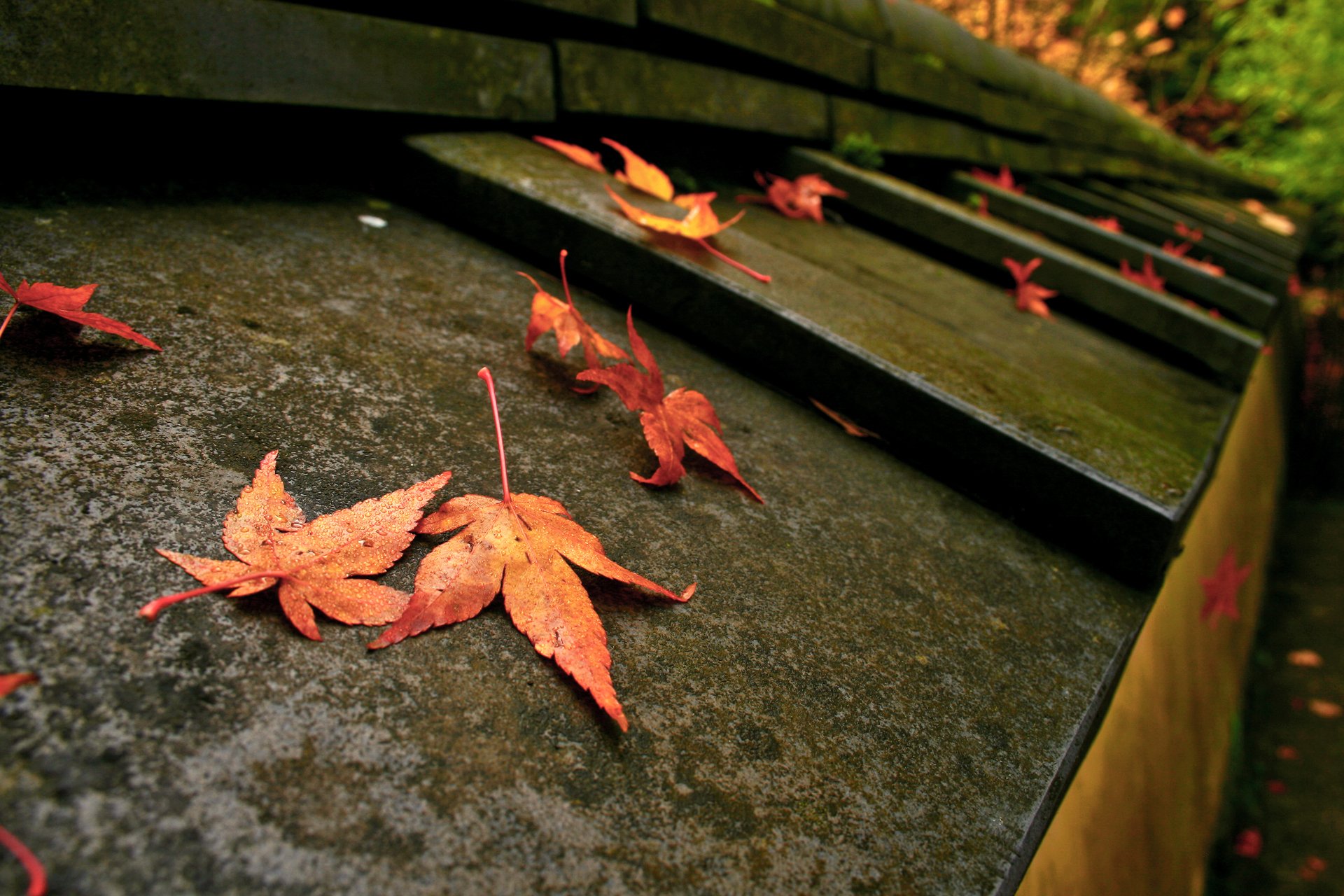Download Nature Fall Image