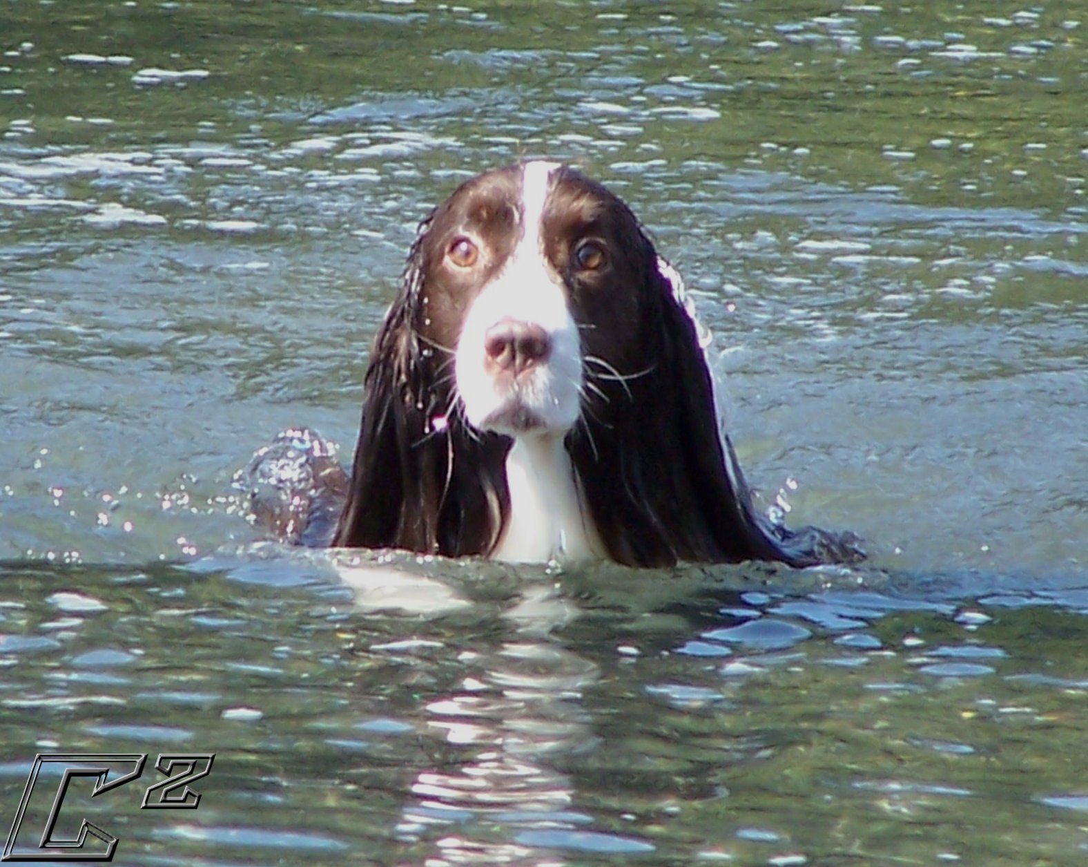  Just 5 More Minutes..Please!