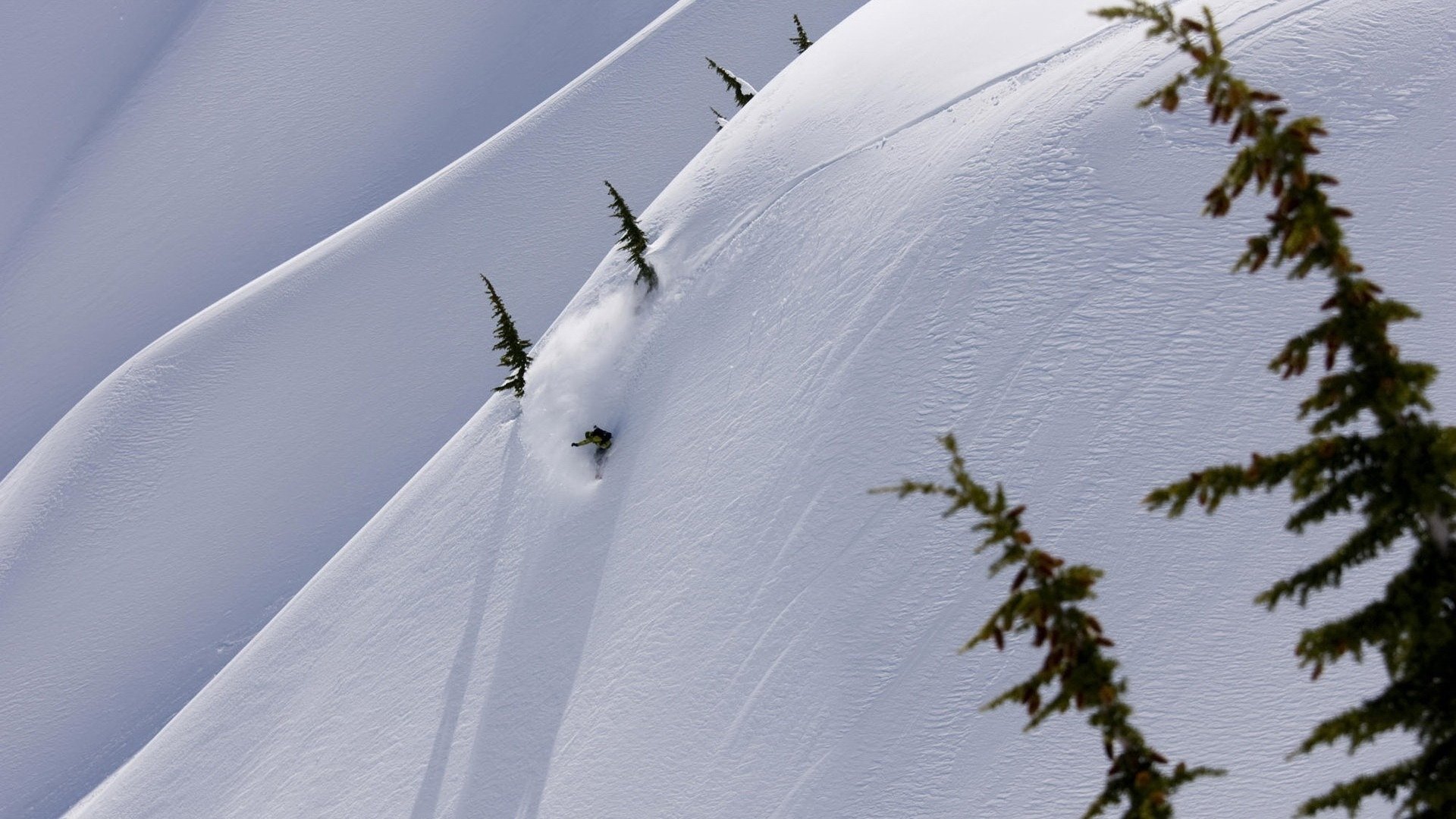 snowboarding Sports Image