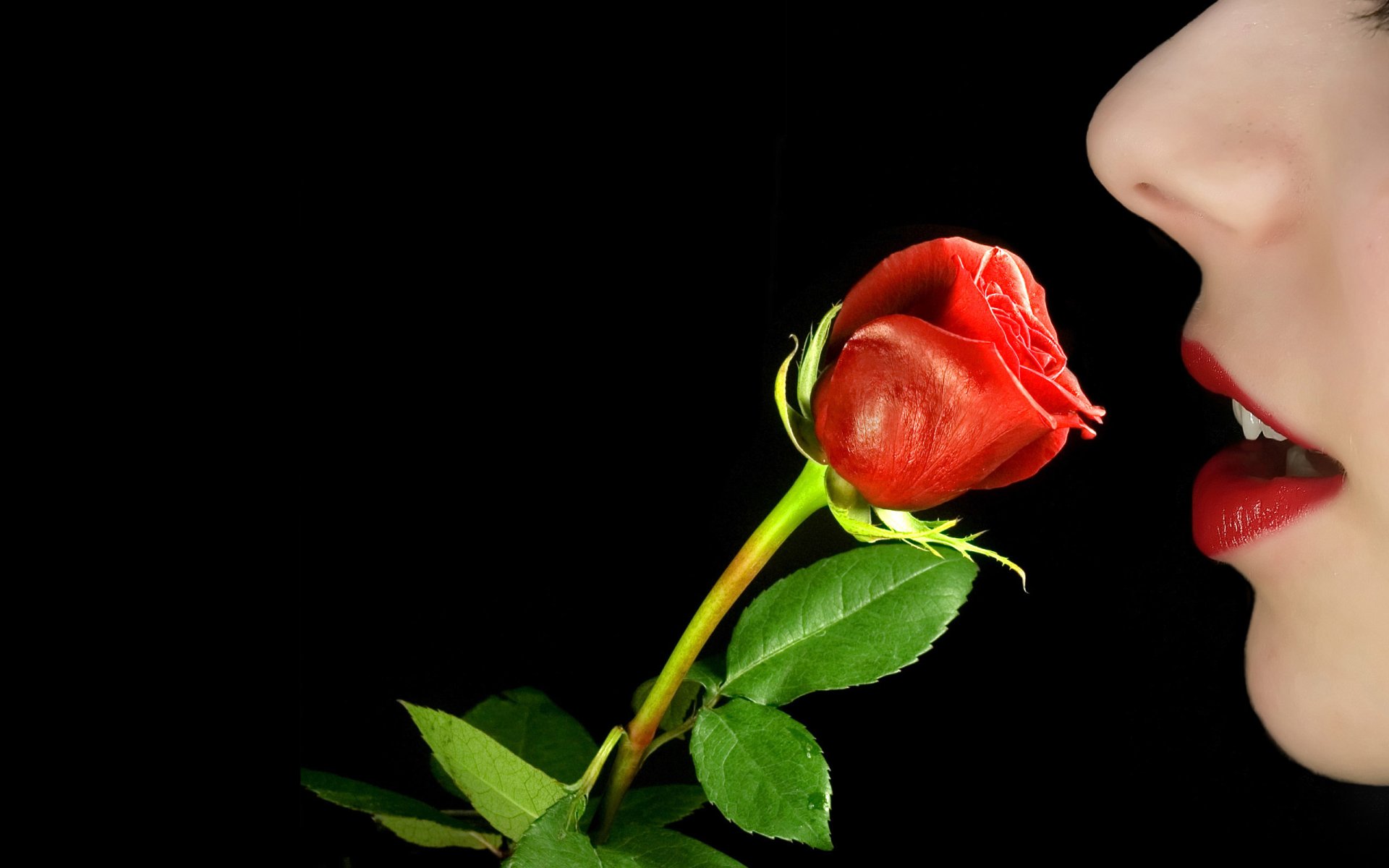woman lips Image