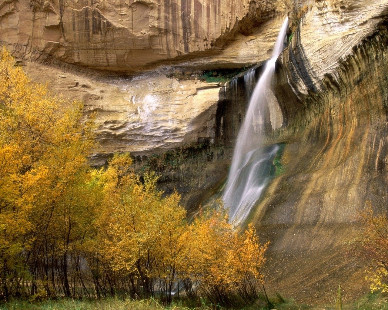 A stunning waterfall cascades down a rocky cliff, surrounded by vibrant autumn foliage, showcasing the beauty of nature in this serene landscape.