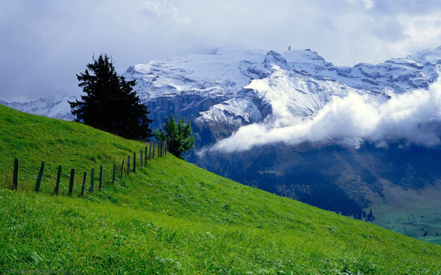 Nature landscape: a vivid green hillside with a rustic fence and a few trees, sloping toward cloud-wreathed, snow-capped mountains beneath a partly cloudy sky.