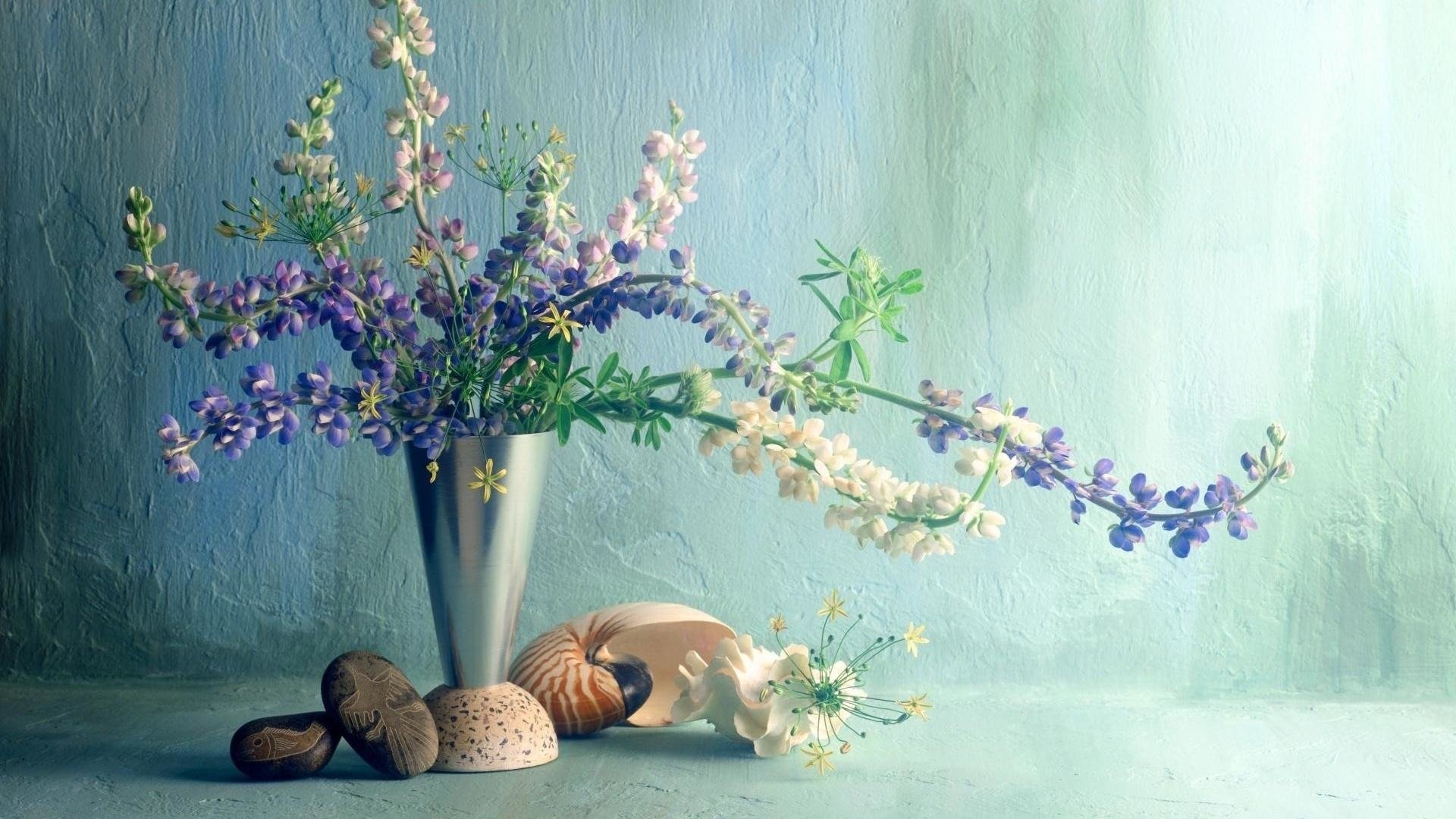 Still life photography of a silver vase holding purple and white flowers, arranged alongside seashells on a textured blue-green surface and background.