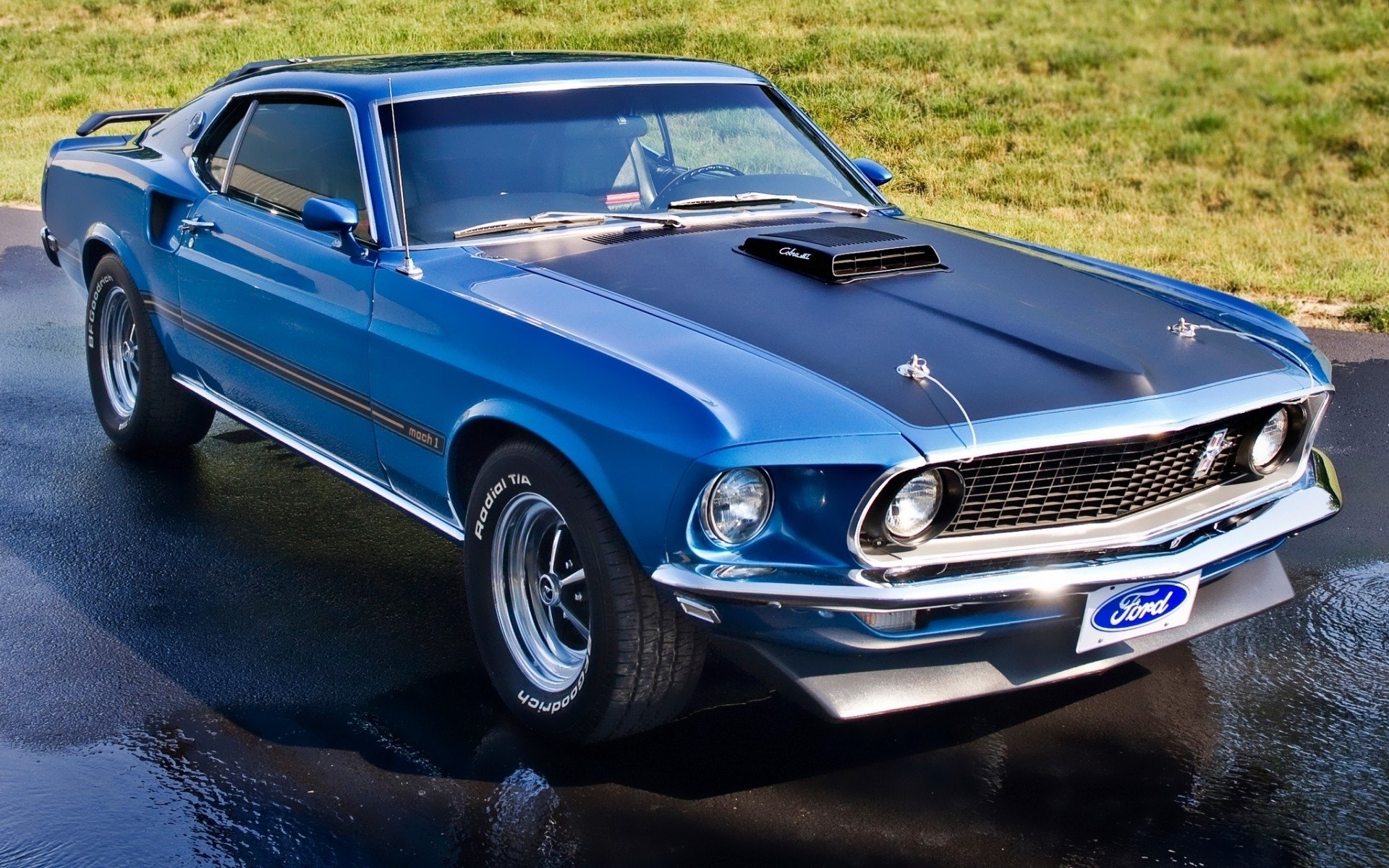 A blue classic Ford Mustang vehicle parked outdoors on a wet surface with grass in the background.