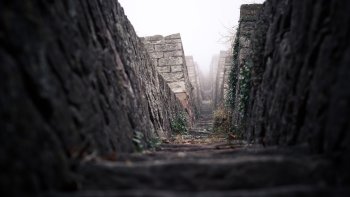 Preview Image 268455