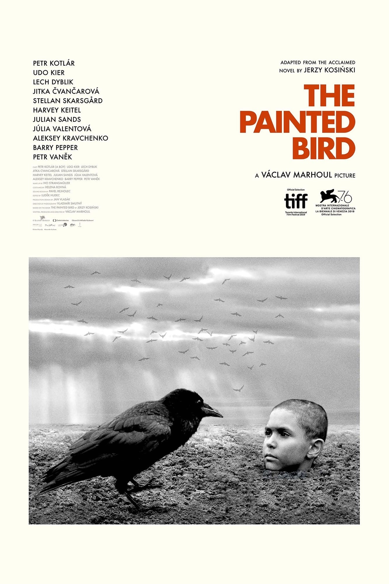 The Painted Bird Picture