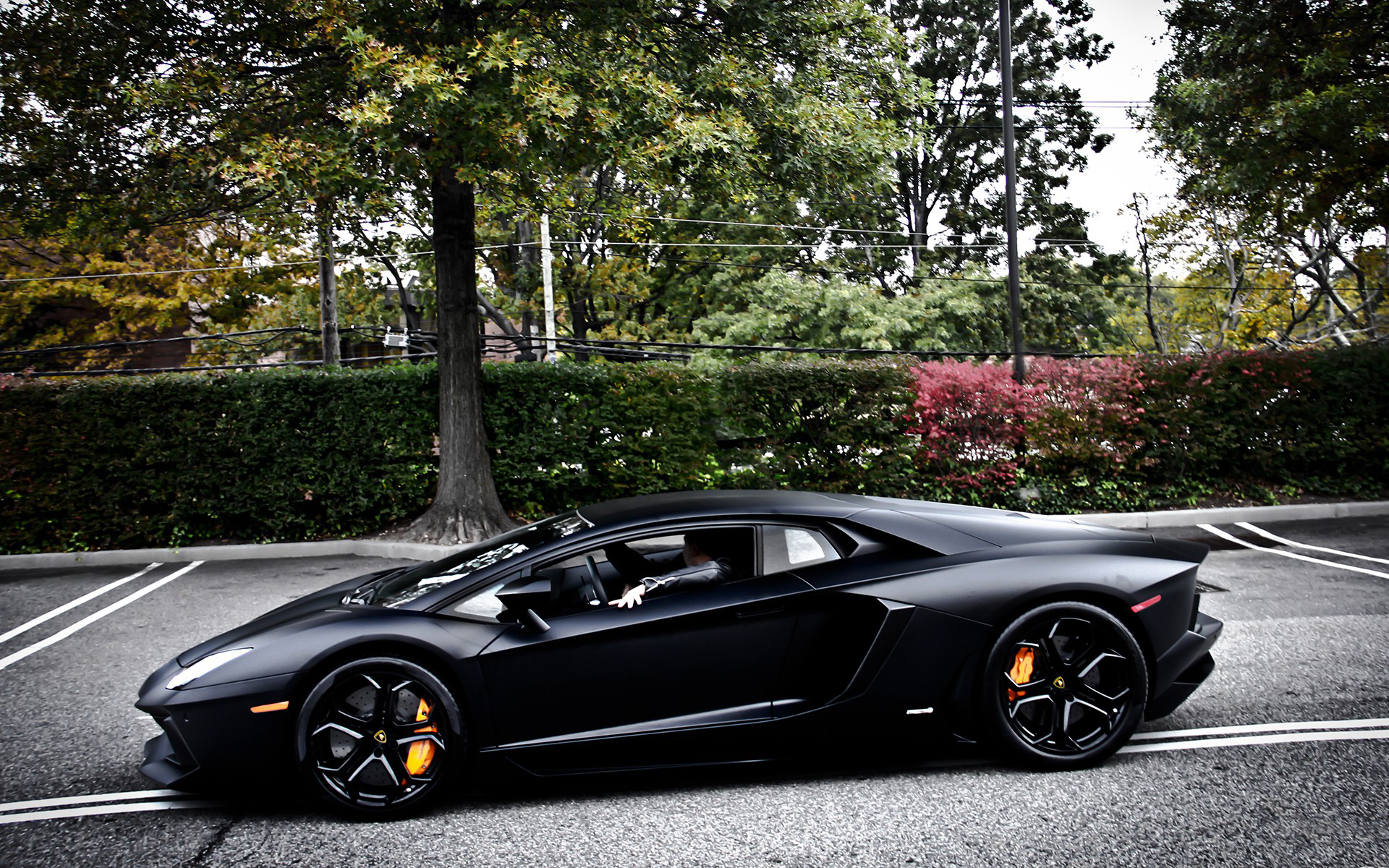 Lamborghini Aventador LP 700-4 Picture