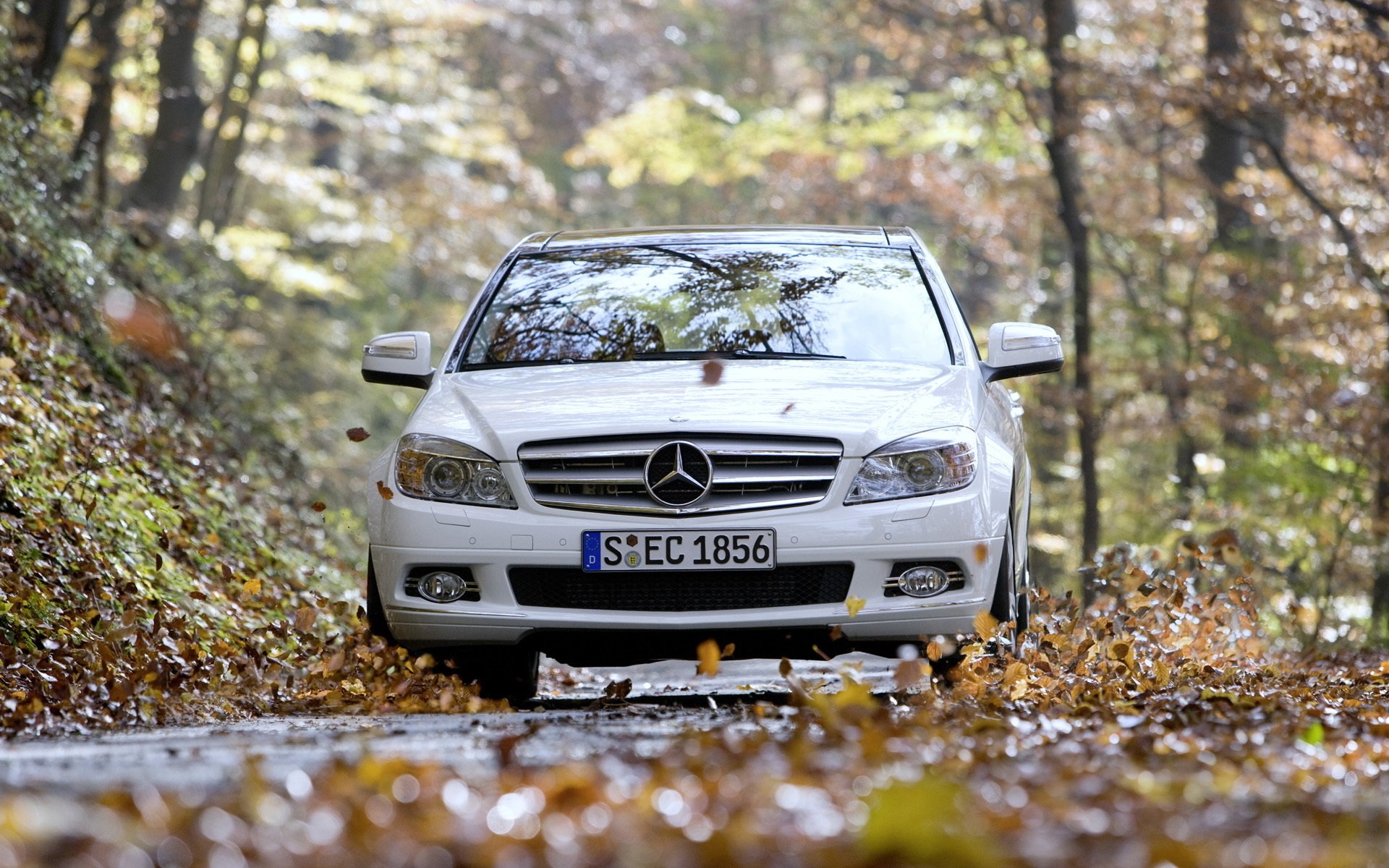 White Mercedes vehicle driving down a leaf-strewn forest road, front view framed by autumn trees.