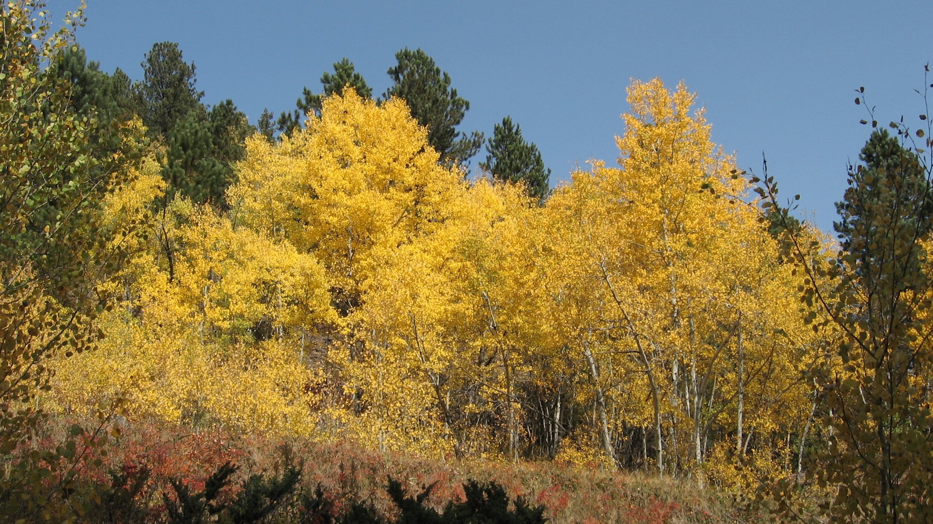  Fall on the Mickelson Trail