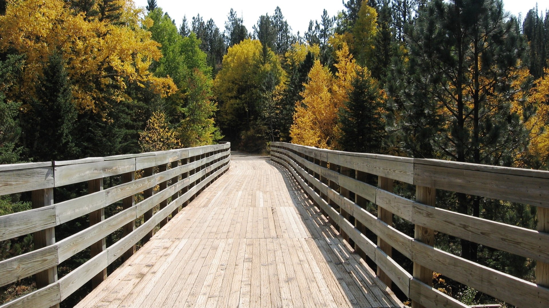 Download Fall Man Made Bridge Image