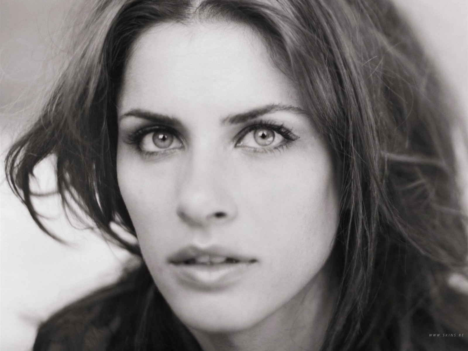 Close-up black and white portrait of celebrity Amanda Peet with intense eyes and slightly tousled hair.