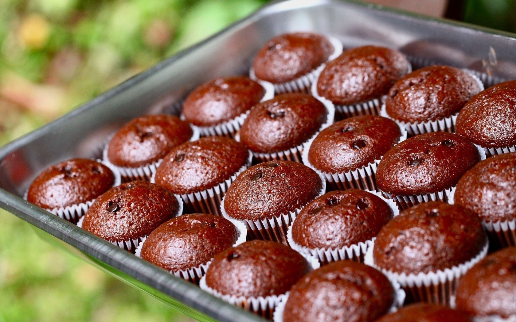 food muffin Image