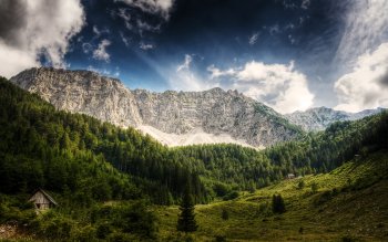 Preview Image 269829