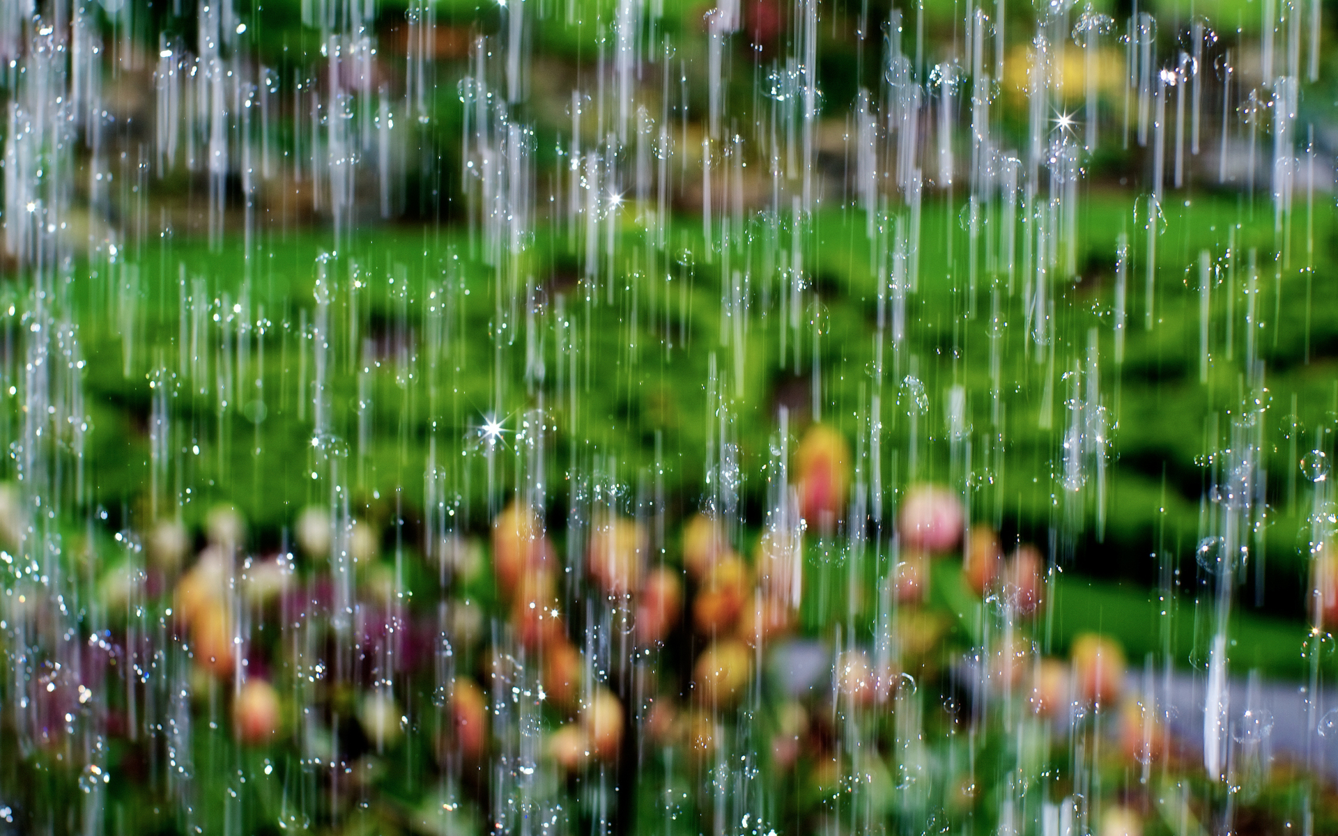 Rain Picture