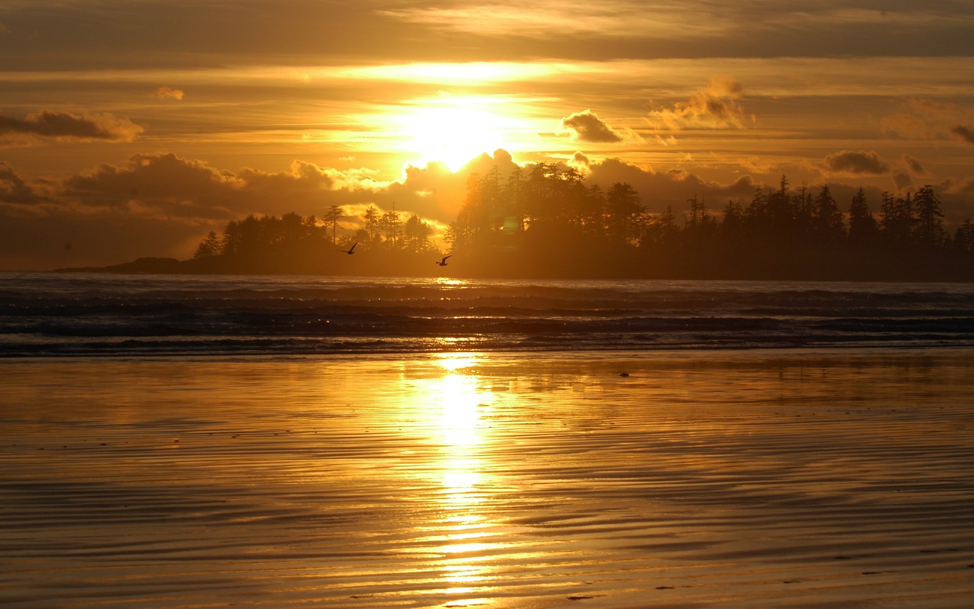 Sunrise Image - ID: 270476 - Image Abyss