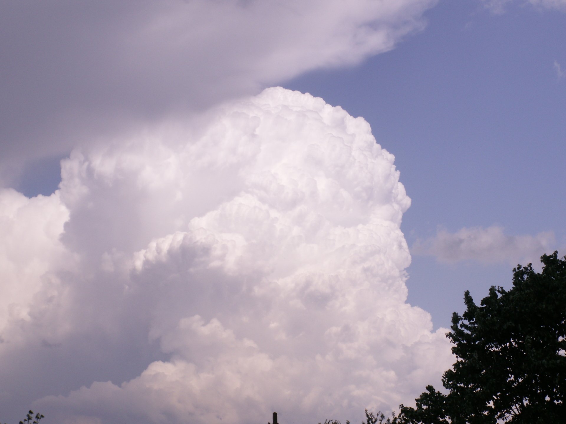Fluffy white clouds dominate a clear sky above the silhouette of trees, showcasing a serene moment in nature.