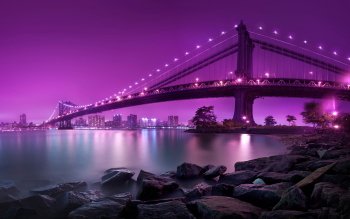 Preview Image 270829