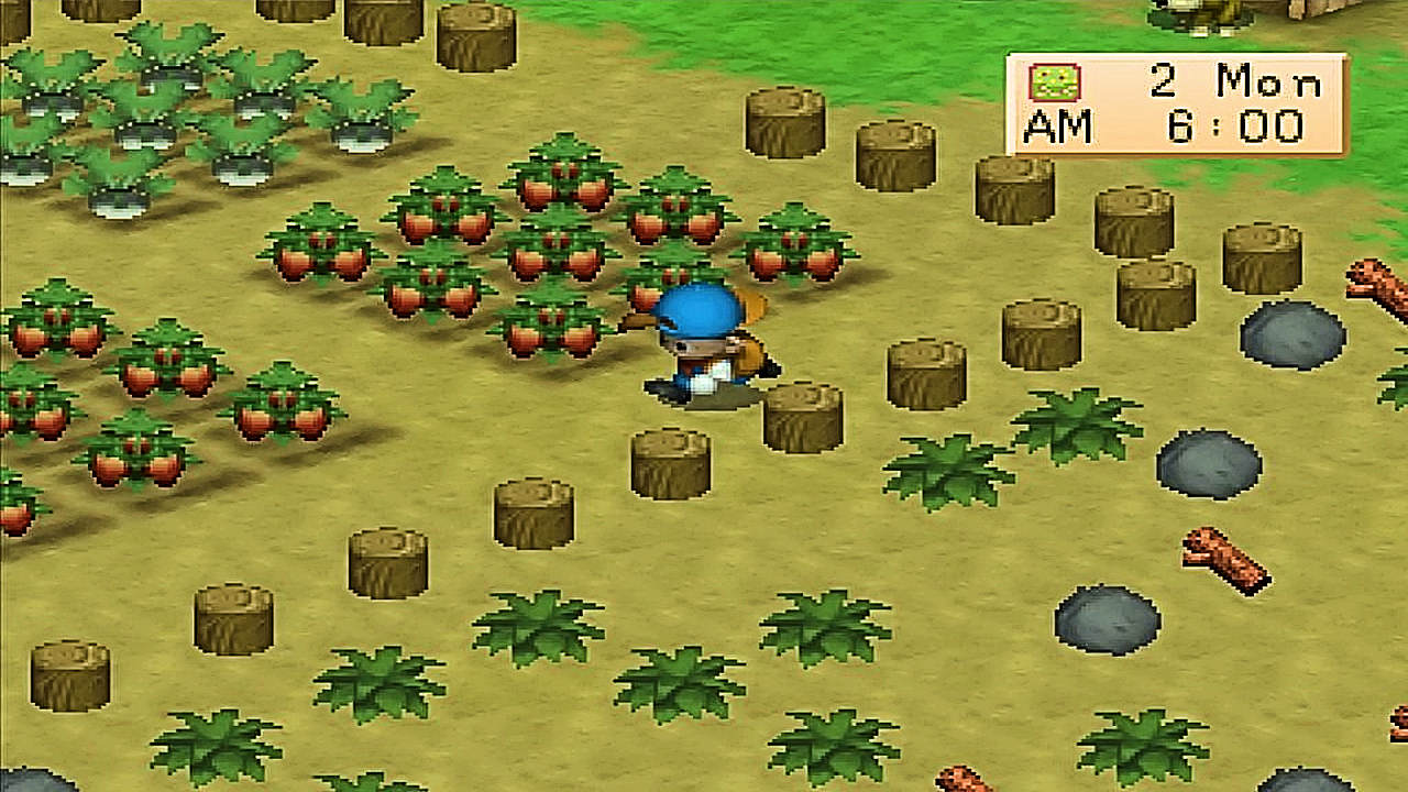 Harvest Moon 64 Picture