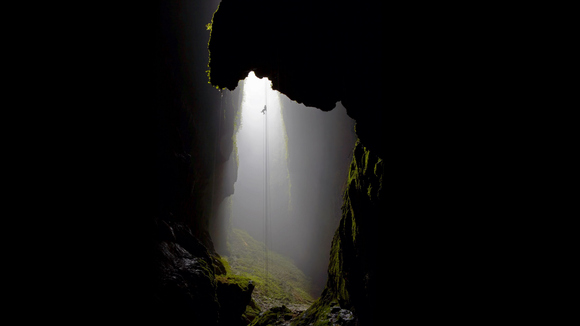 Waitomo Caves Picture