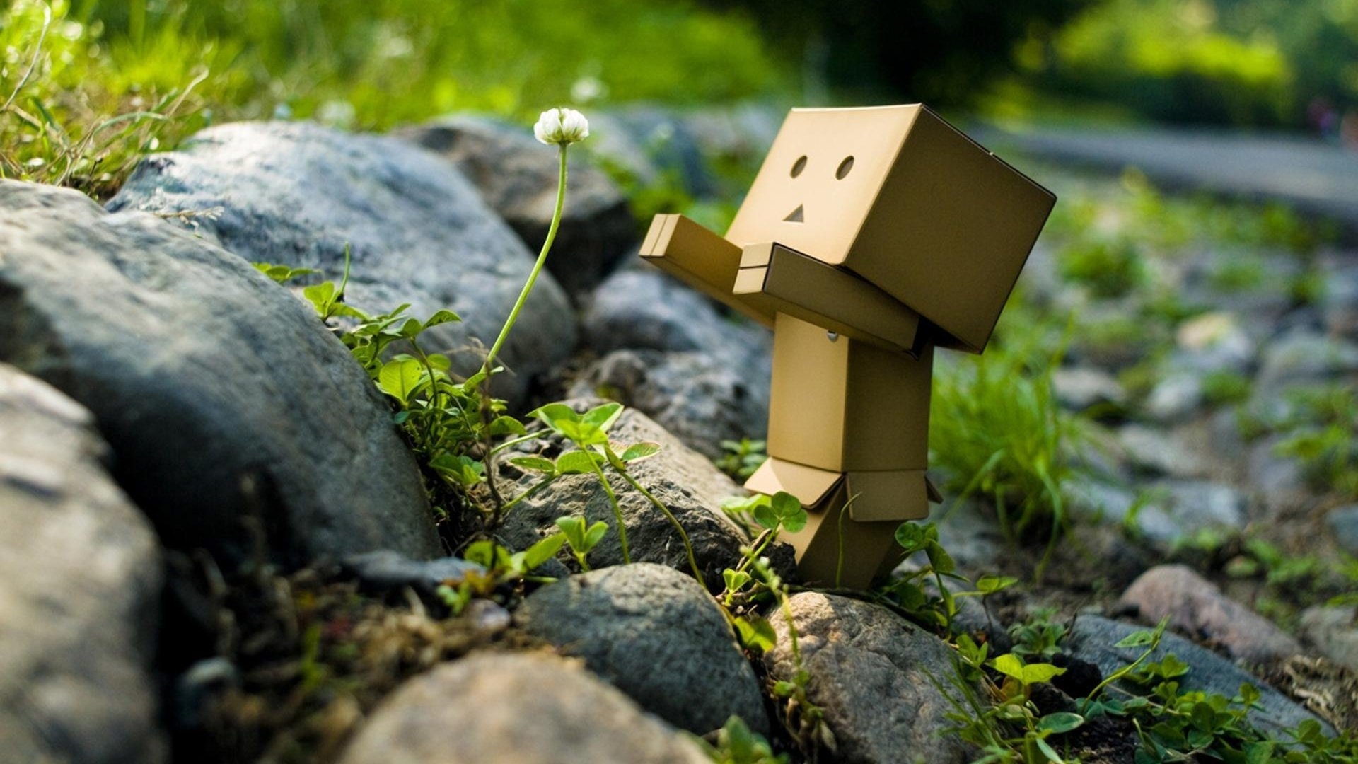 A small danbo figure climbs over rocks surrounded by grass and plants in a natural outdoor setting.