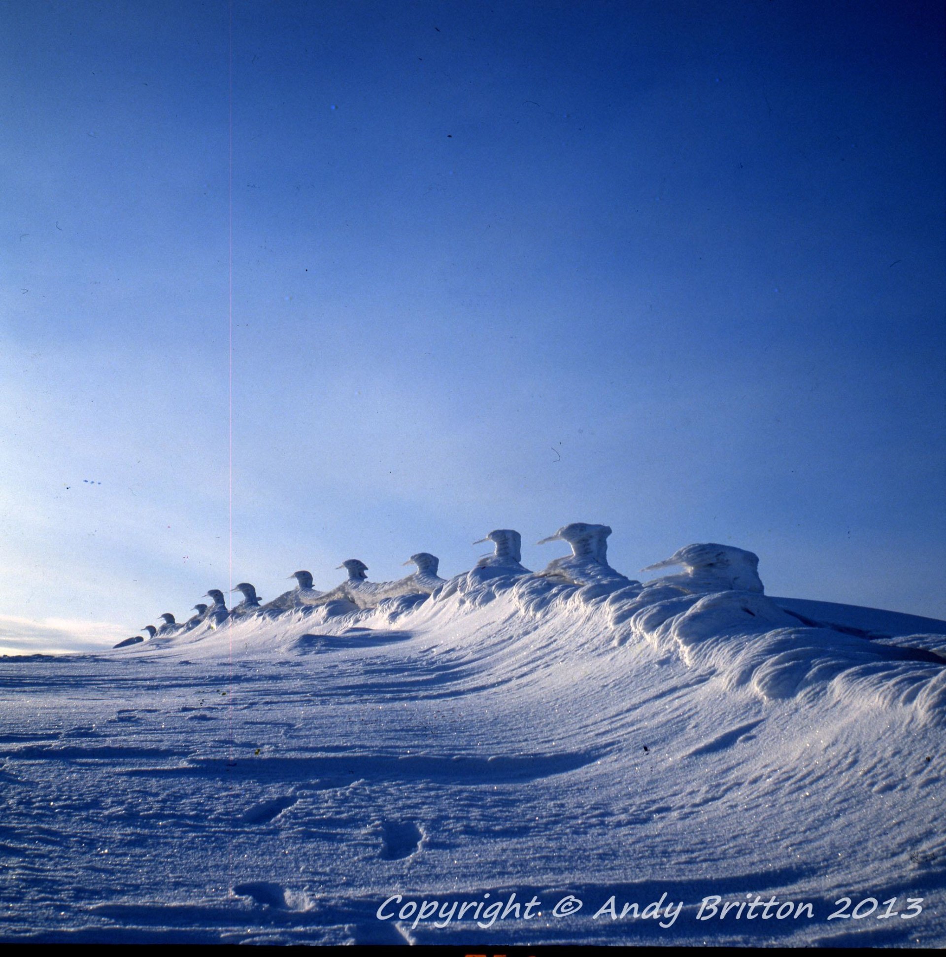  Ice Birds - Wind Sculpture by Mr-Britton