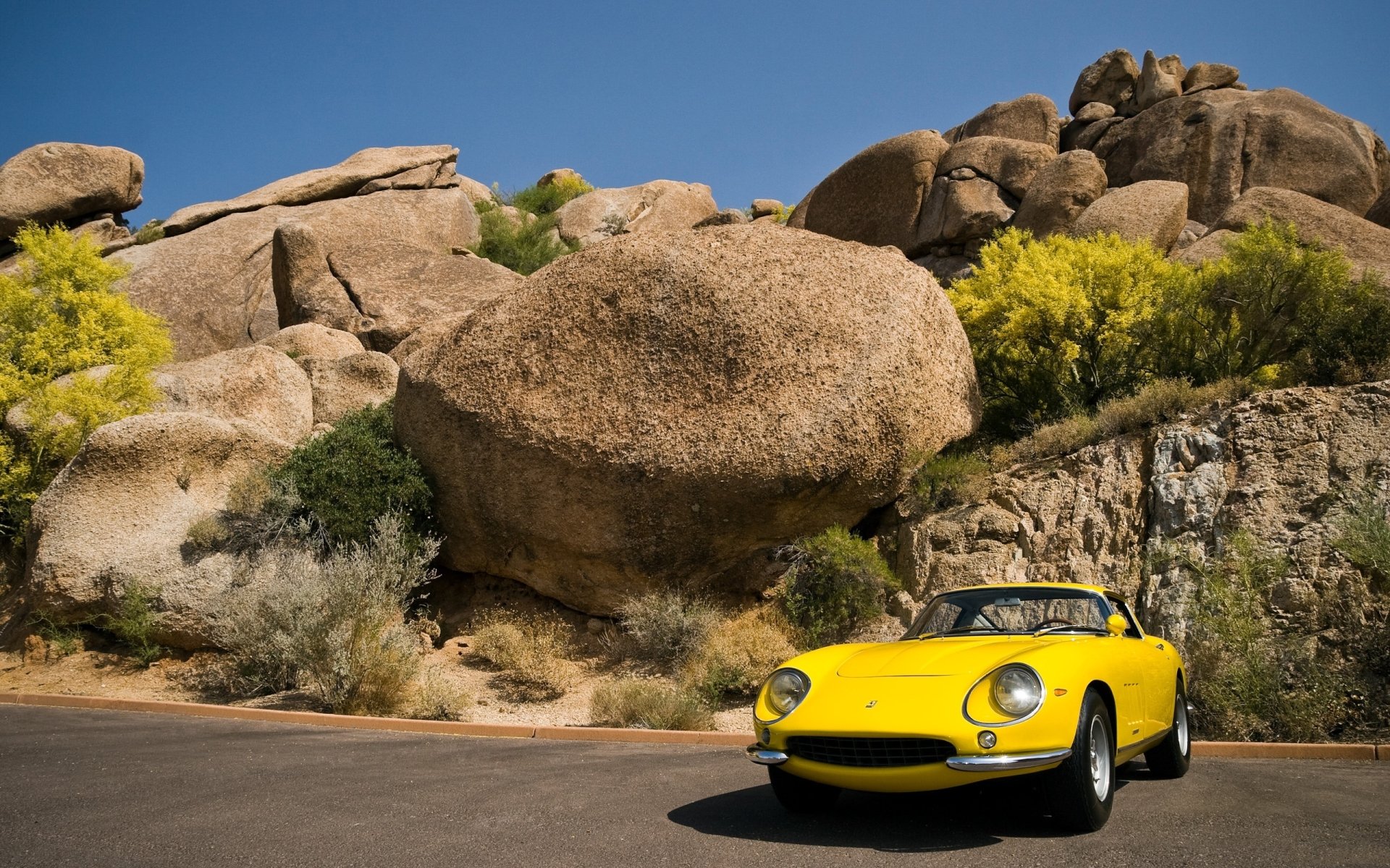 vehicle Ferrari 275 GTS Image