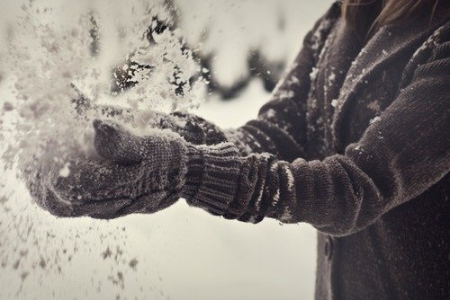 nature winter snow glove hand Image