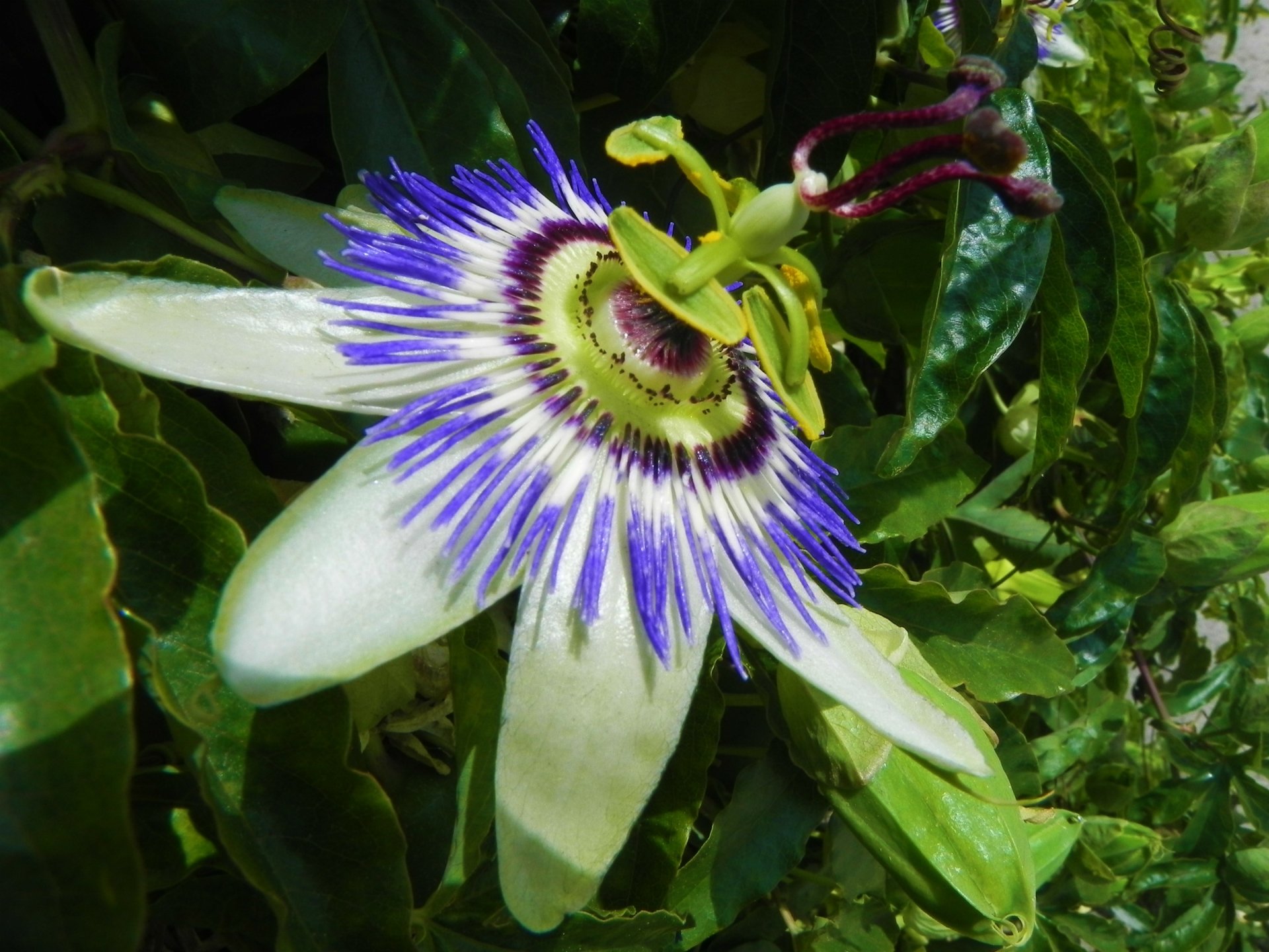  Nature