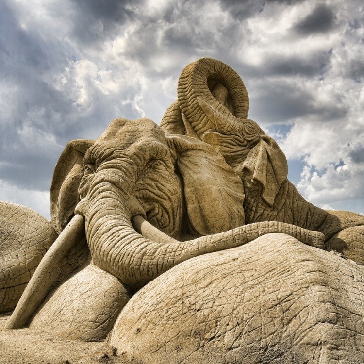 sandcastle Animal Asian Elephant elephant sand sculpture Image