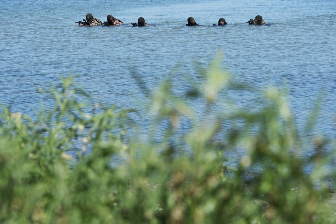  Danish Navy Seal