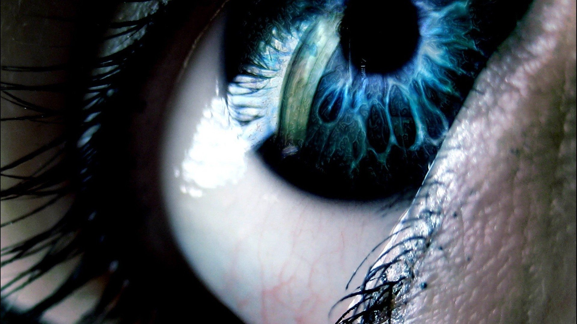 Download Artistic Eye Image