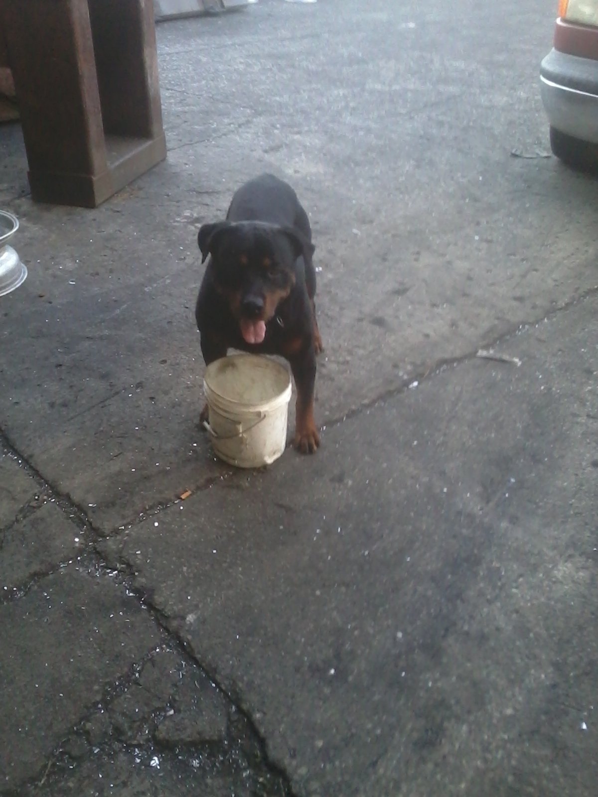  Axle