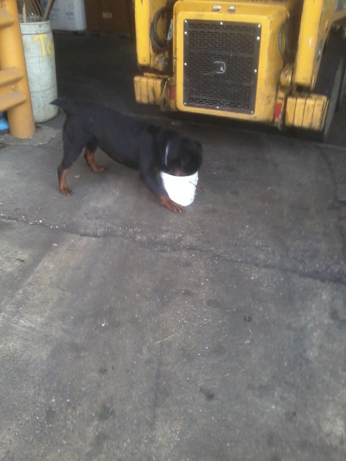  Axle