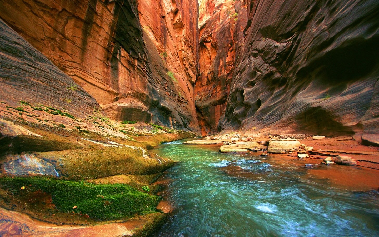 Turquoise river cutting through towering red-rock walls in the Grand Canyon, moss-covered ledges and layered sandstone in a vivid nature scene.
