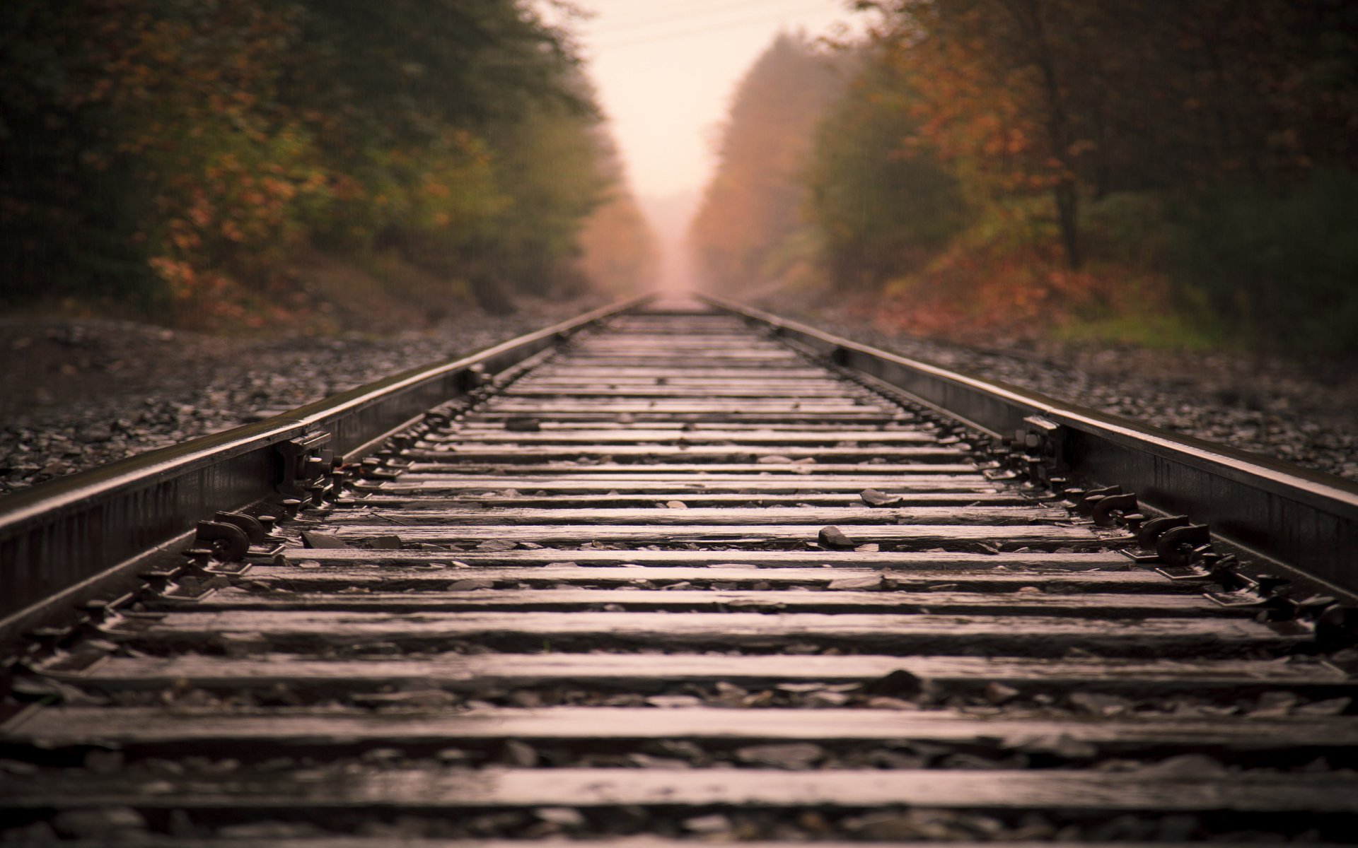 A man-made railroad stretches through a wooded area with trees on both sides, fading into the misty distance under soft lighting.