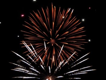 Preview Image 271819