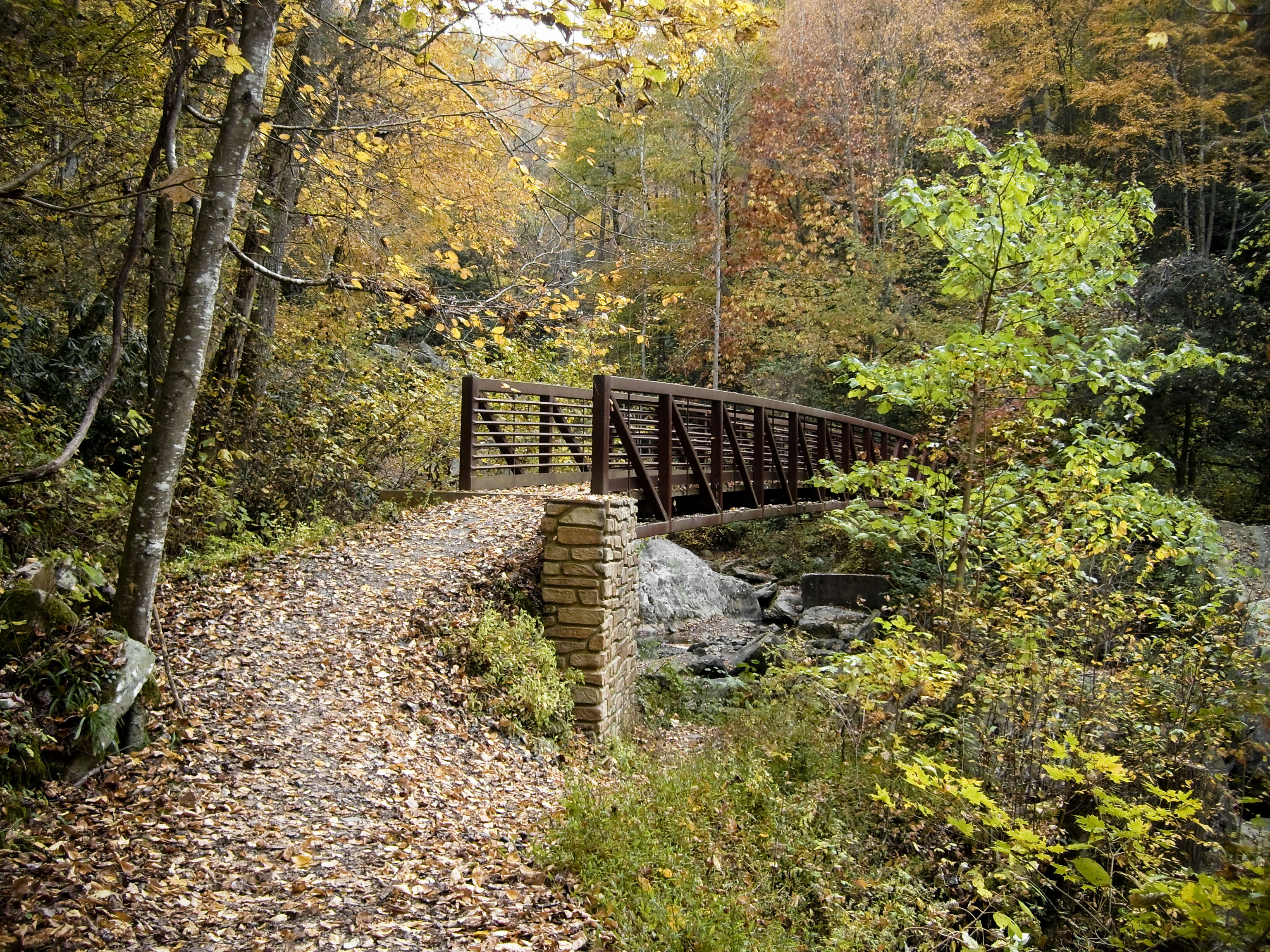 Autumn Trail by PippiLove - Image Abyss