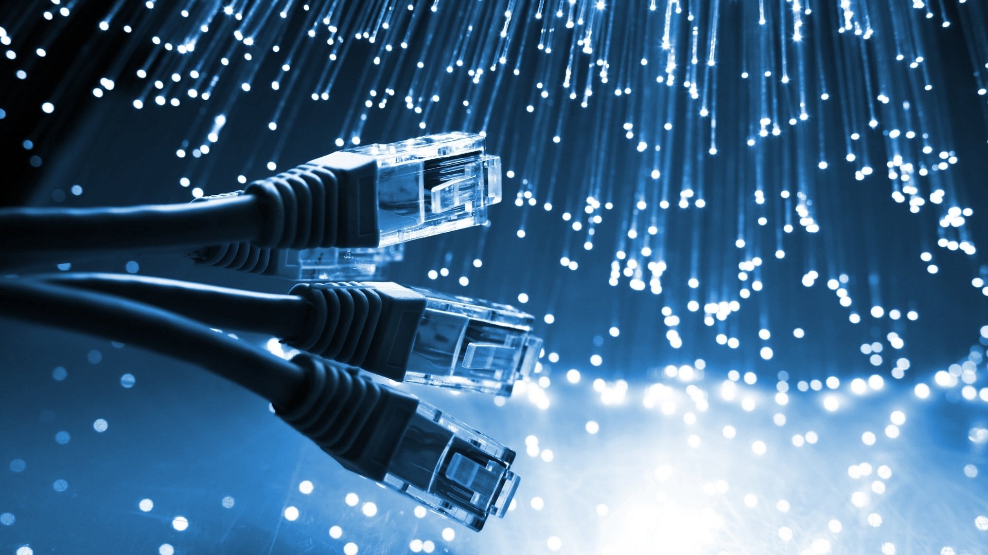 Close-up of Ethernet cables in the foreground with a backdrop of shimmering lights, representing the theme of technology and connection through digital networks.
