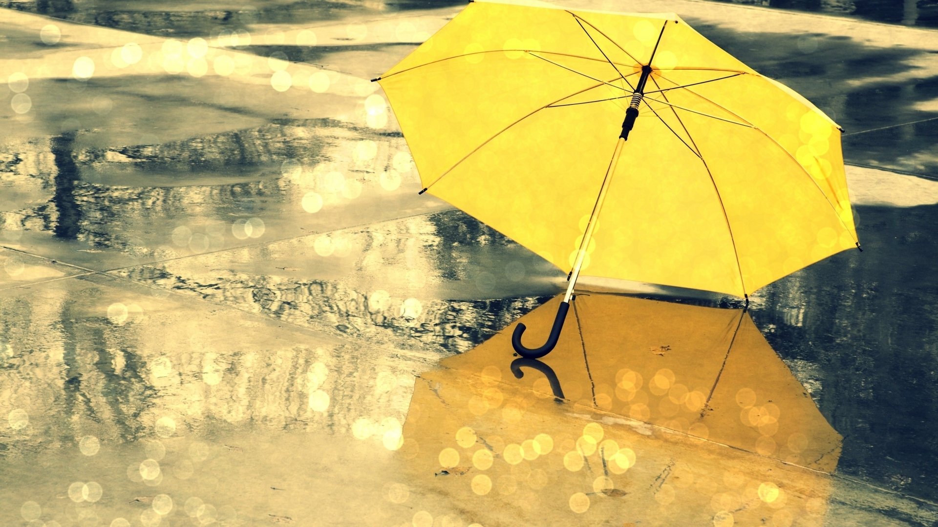 A vibrant yellow umbrella stands alone on a wet surface, reflecting the soft bokeh of light, capturing a serene moment in this captivating photography.