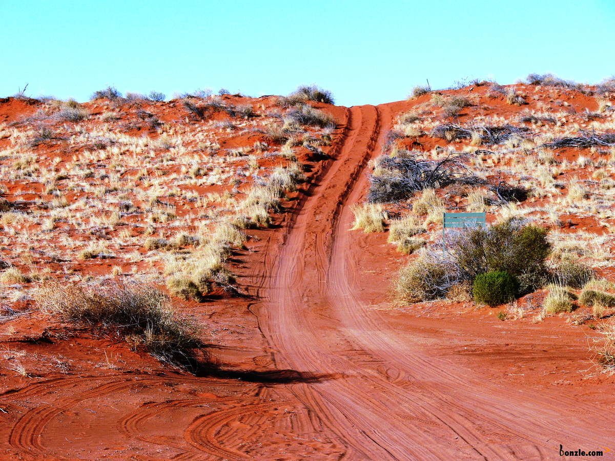 desert nature simpson desert Image