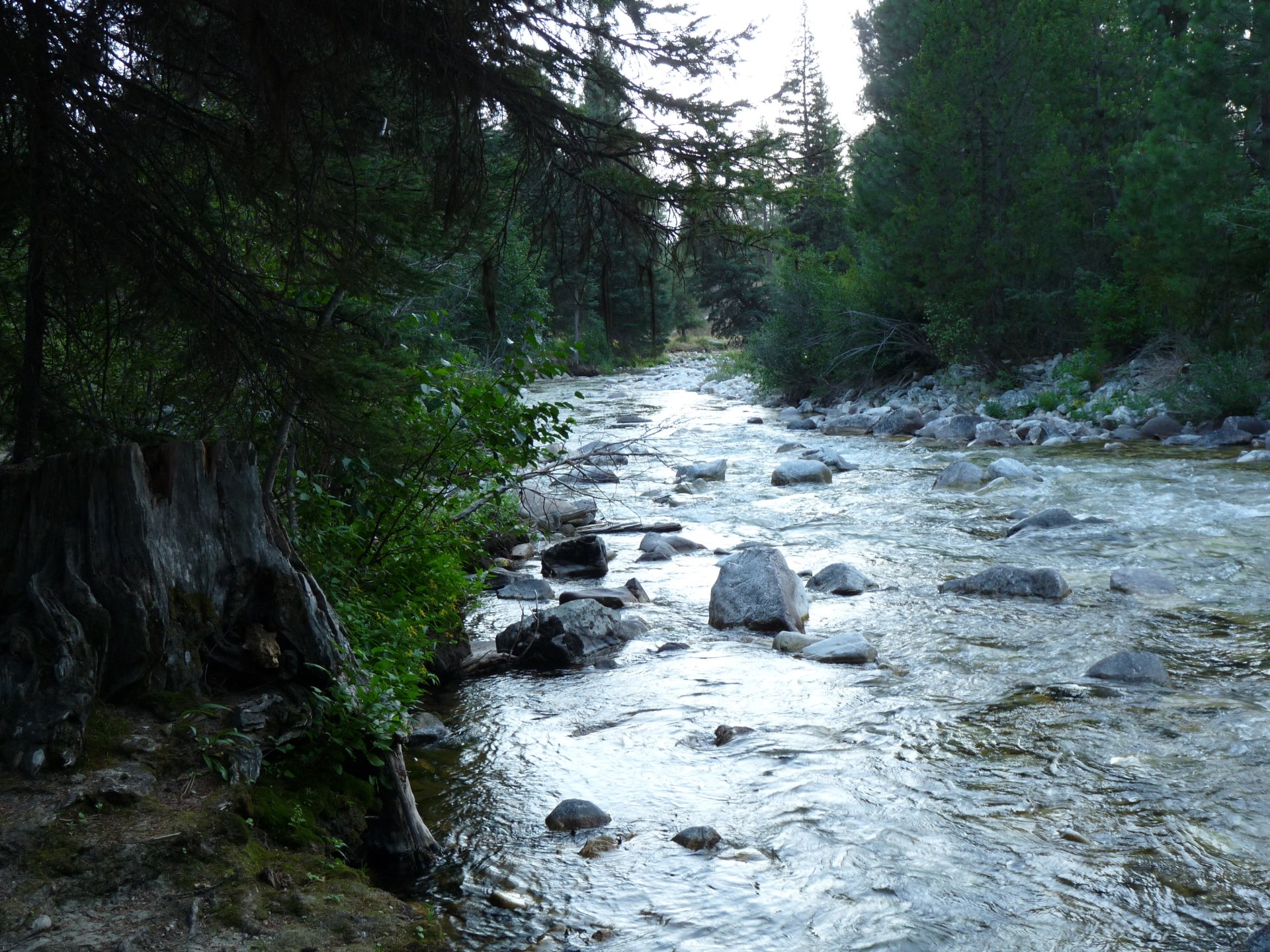 Middle fork of the Boise River by Jarfmon Image Abyss