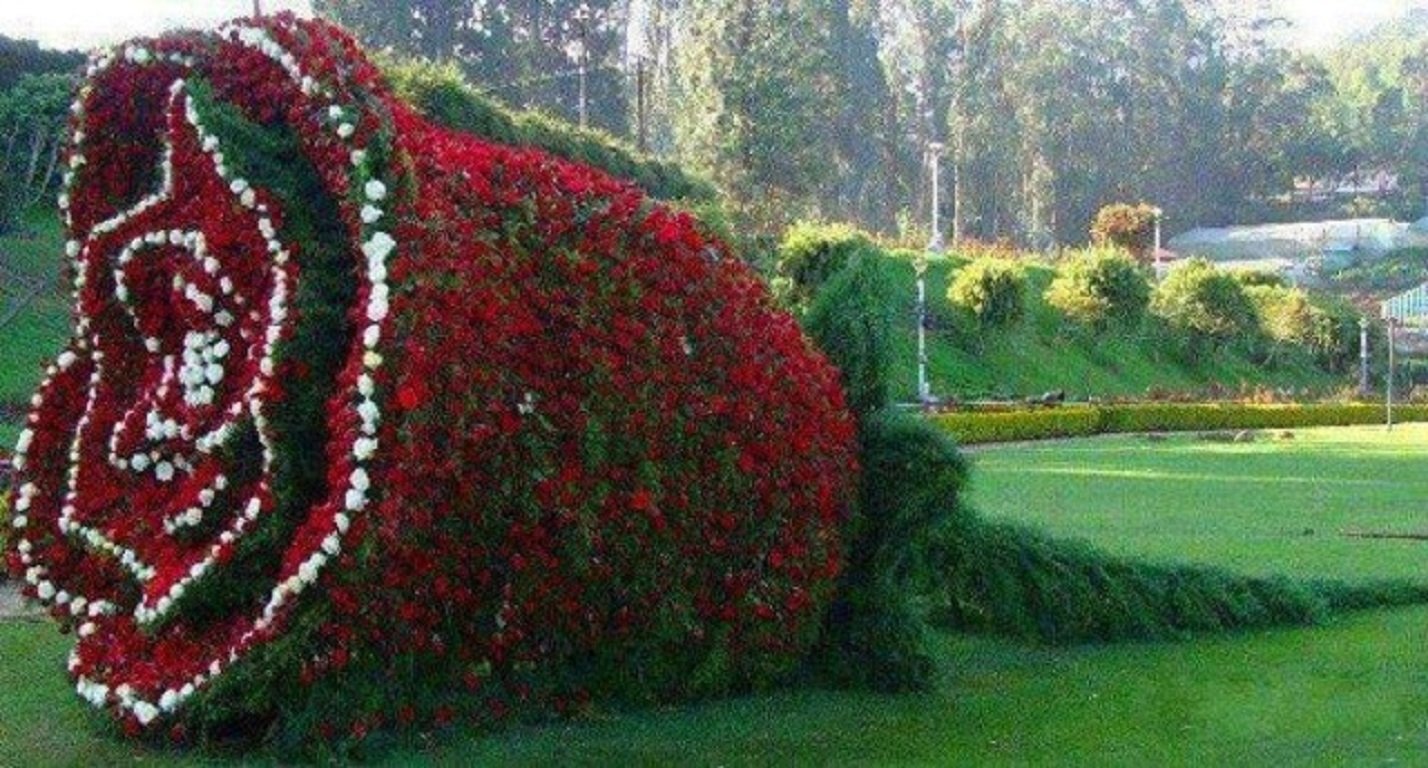 Artful Garden Sculptures: Nature Meets Human Craftsmanship